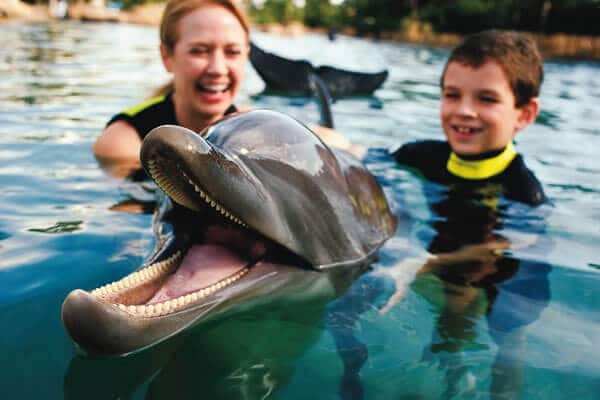 Discoery Cove Orlando - Golginho Dolphin Lagoon