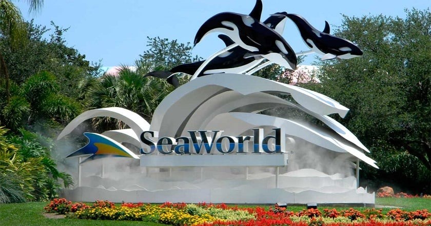 Atrações do Sea World em Orlando