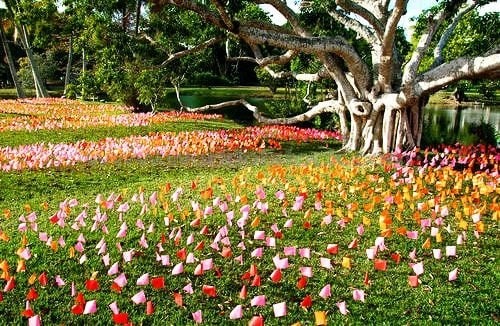 Fairchild Tropical Botanic Garden Miami