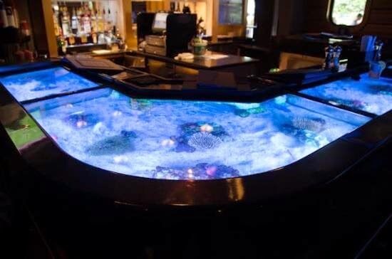 Aquário no restaurante Sharks Underwater Grill do SeaWorld em Orlando