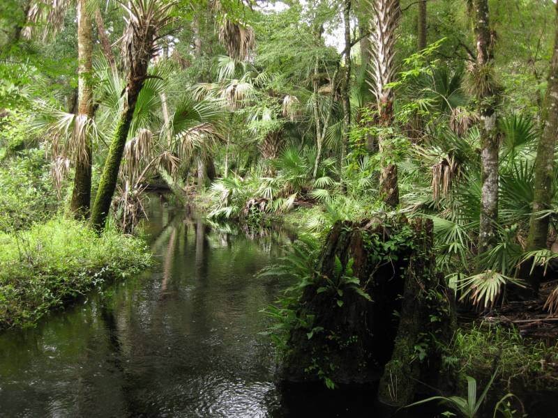 Tosohatchee State Reserve em Orlando 