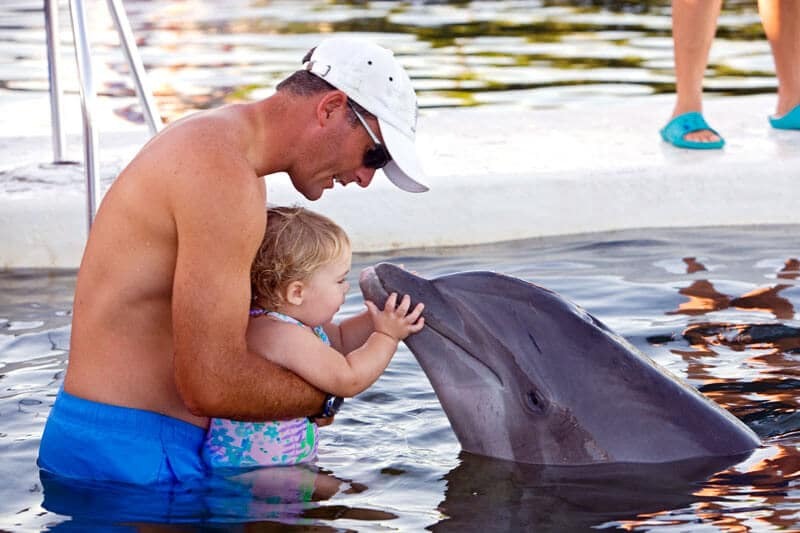 Dolphin Research Center nas ilhas Keys em Miami