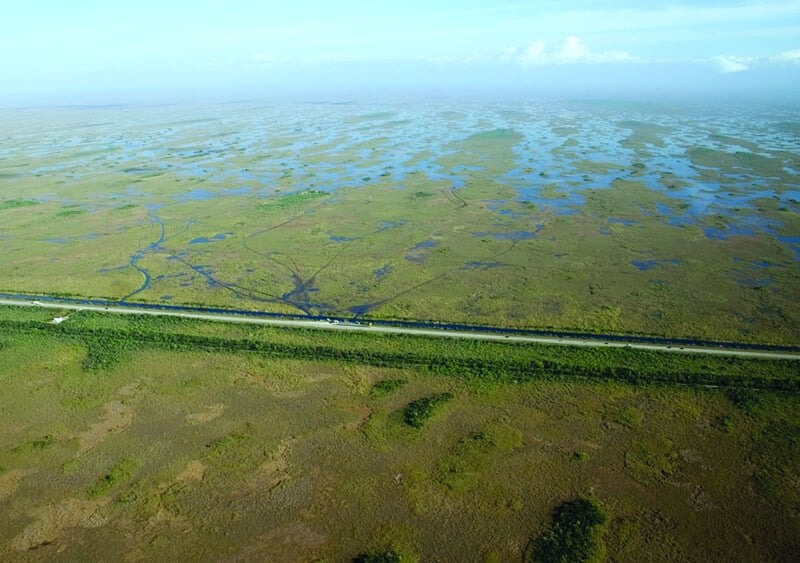 Everglades pela Tamiami Trail (Hwy 41) em Miami
