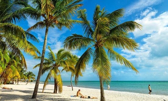 Coqueiros em praia de Key West