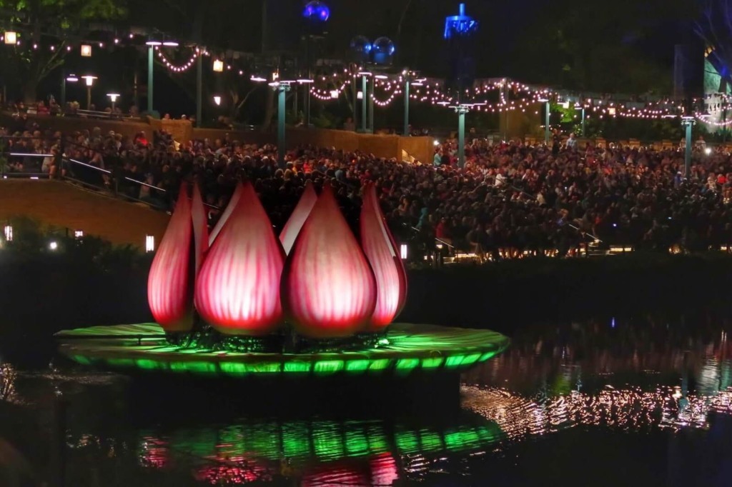Melhores lugares para ver os shows da Disney em Orlando: Disney Animal Kingdom - Rivers of Light