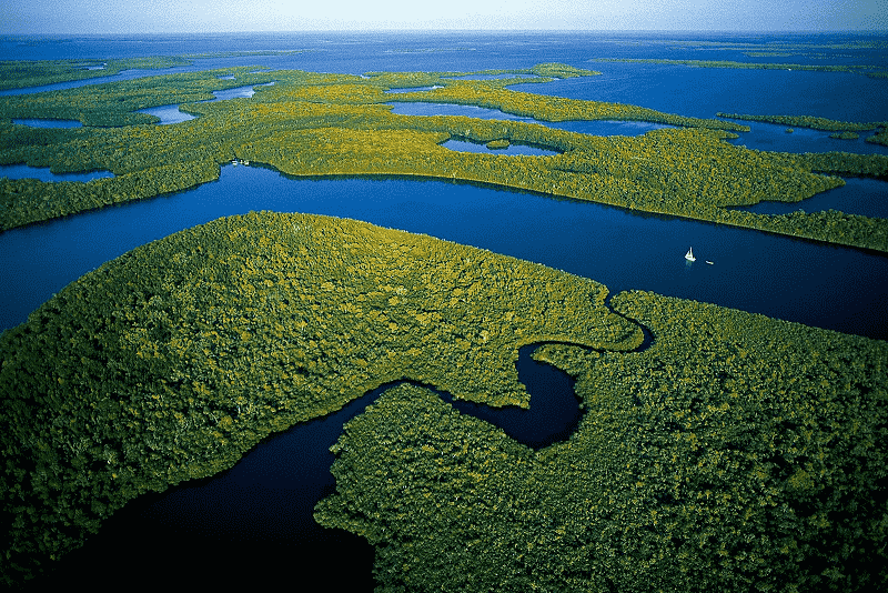 Everglades National Park em Miami