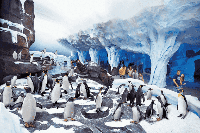 Detalhes sobre o Antarctica no Sea World 
