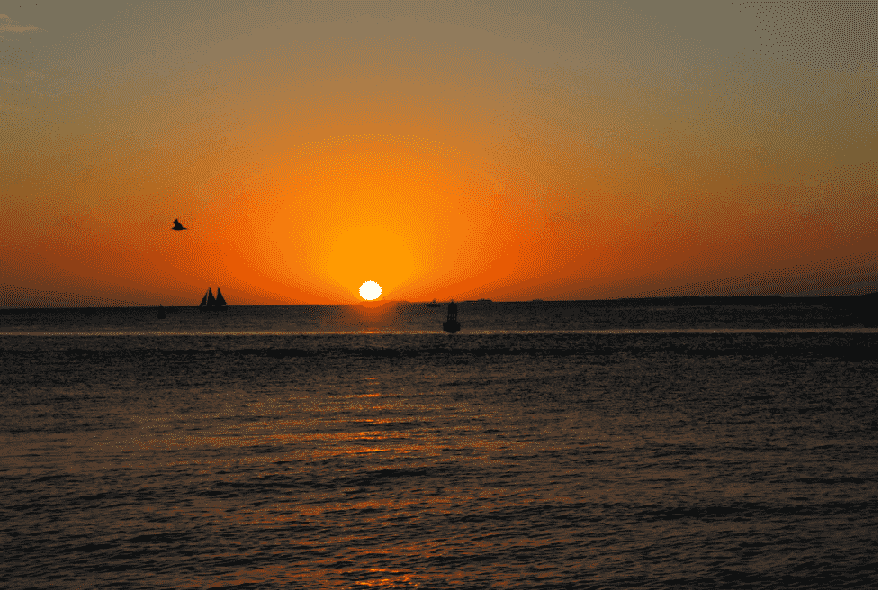 Pôr do sol romântico em Key West