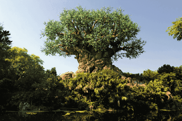 The Tree of Life no Animal Kingdom em Orlando 