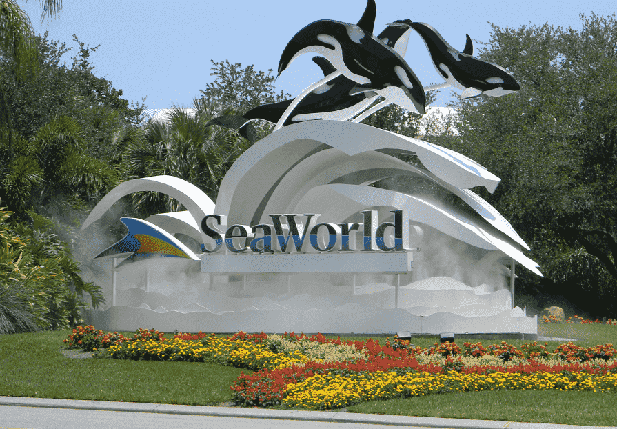 10 destaques do parque Sea World em Orlando 