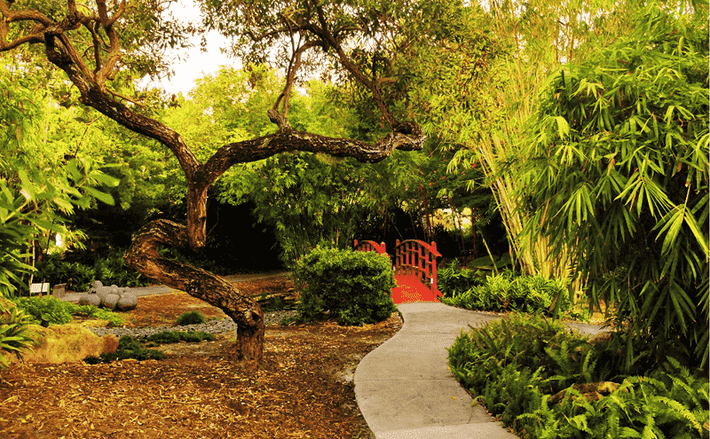 Miami Beach Botanical Garden: ponte e área verde