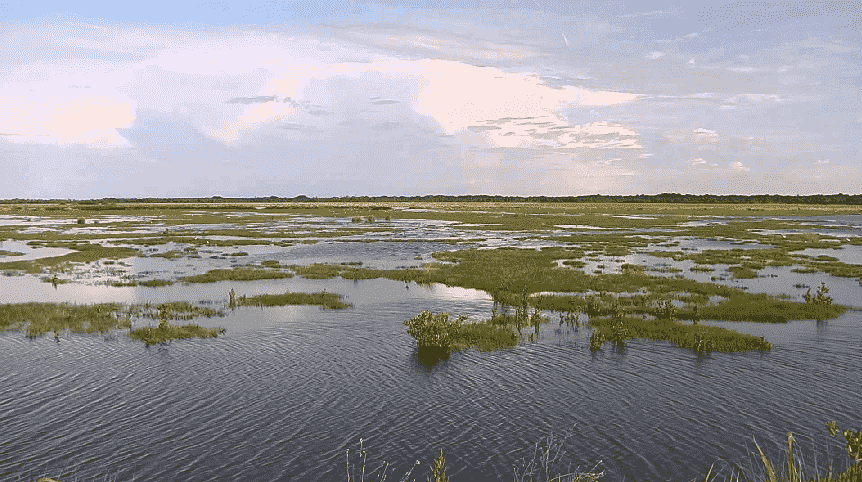 Canaveral National Seashore e Merritt Island National Wildlife Refuge em Orlando 