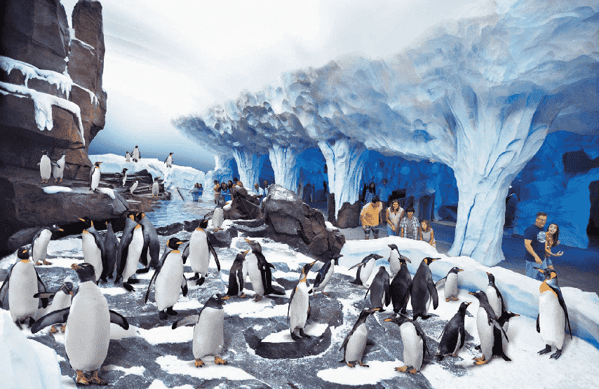 Antartica: World of Penguin no Sea World em Orlando