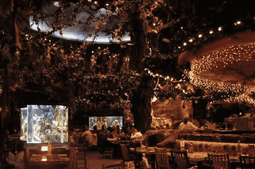 Restaurante Rainforest Cafe na Disney em Orlando