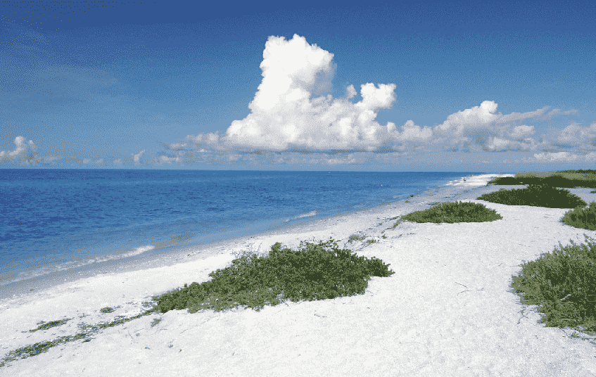 Ilhas Sanibel e Captiva em Miami