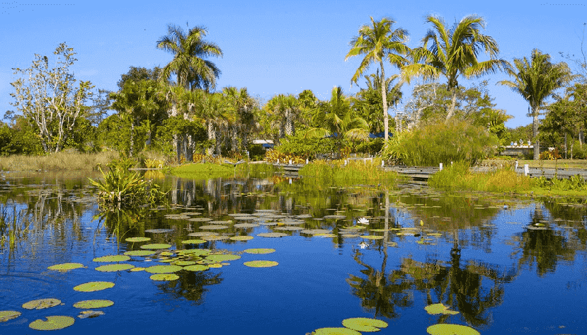 Jardim Botânica de Naples na Flórida
