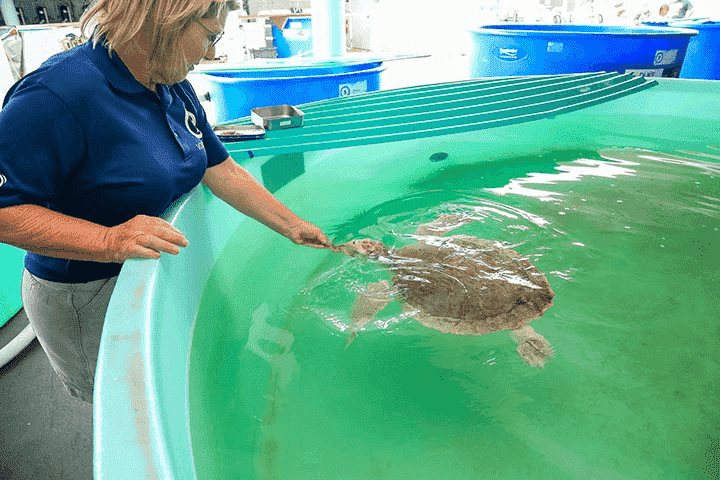 Clearwater Marine Aquarium em Tampa
