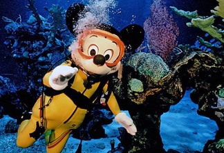 Mergulho com Mickey no Enchanting Extras Tours na Disney Orlando