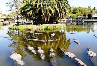 Parque Gatorland em Orlando e seus jacarés