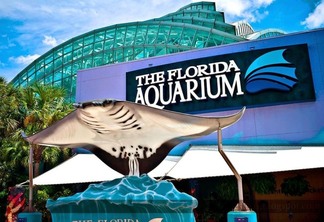 Florida Aquarium em Tampa na Flórida