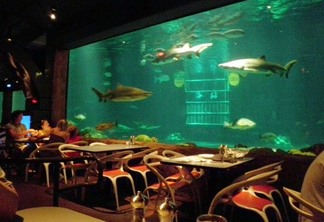 Restaurante Sharks Underwater Grill do SeaWorld em Orlando