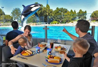 Almoço com baleias orcas no SeaWorld