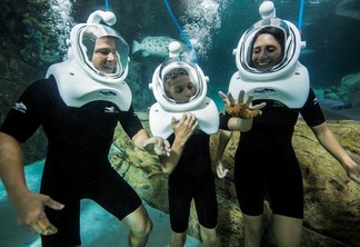 Seaventure: Passeio Subaquático no parque Discovery Cove Orlando