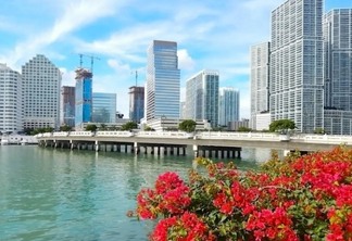 Flores em Biscayne Bay em Miami