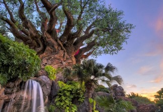 Paisagem da Árvore da Vida no Animal Kingdom da Disney em Orlando