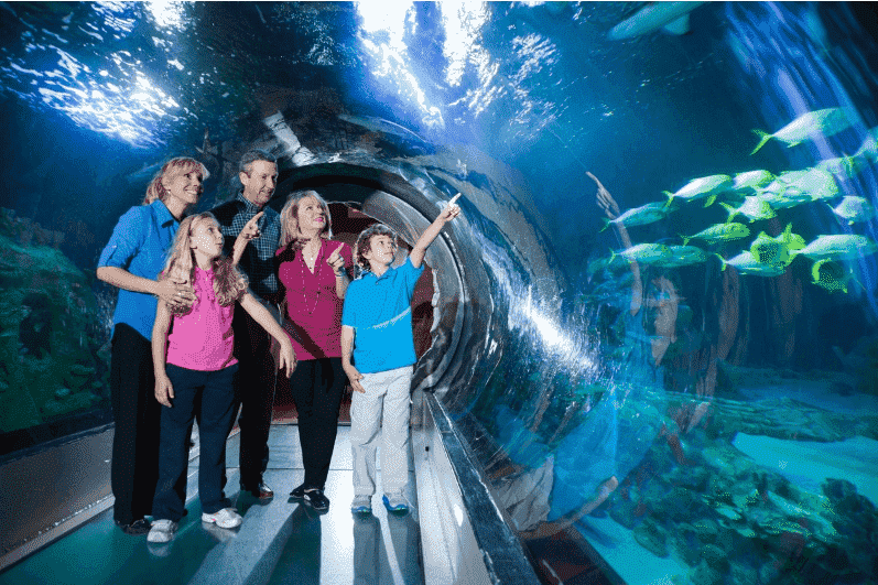 Dentro de la atracción Sea Life Aquarium 