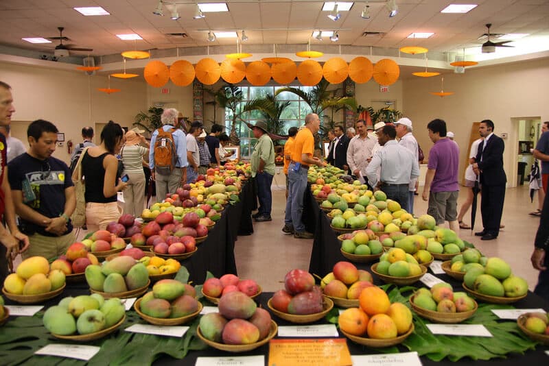International Mango Festival en Miami