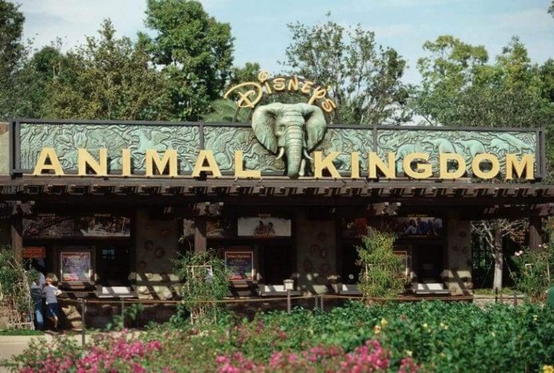 Entrada do parque Animal Kingdom da Disney em Orlando