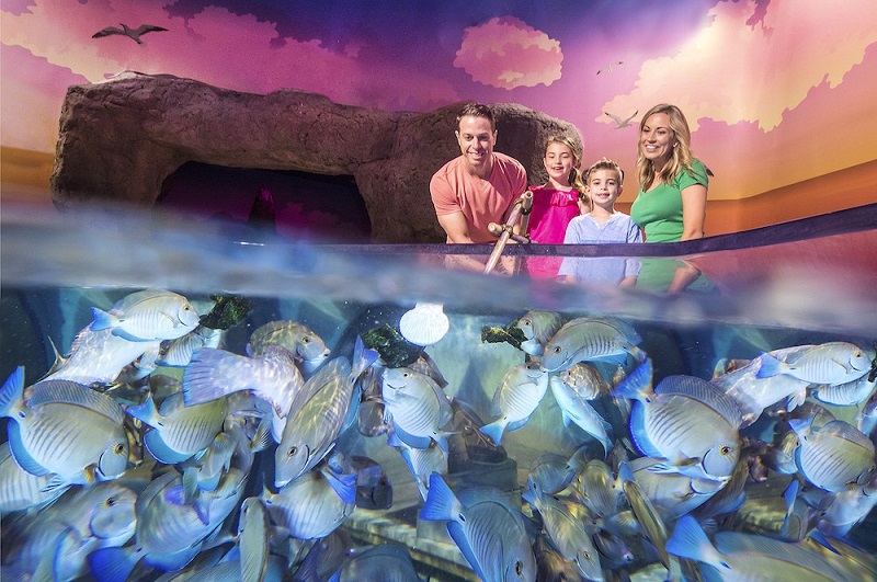 Família no Aquário Sea Life em Orlando