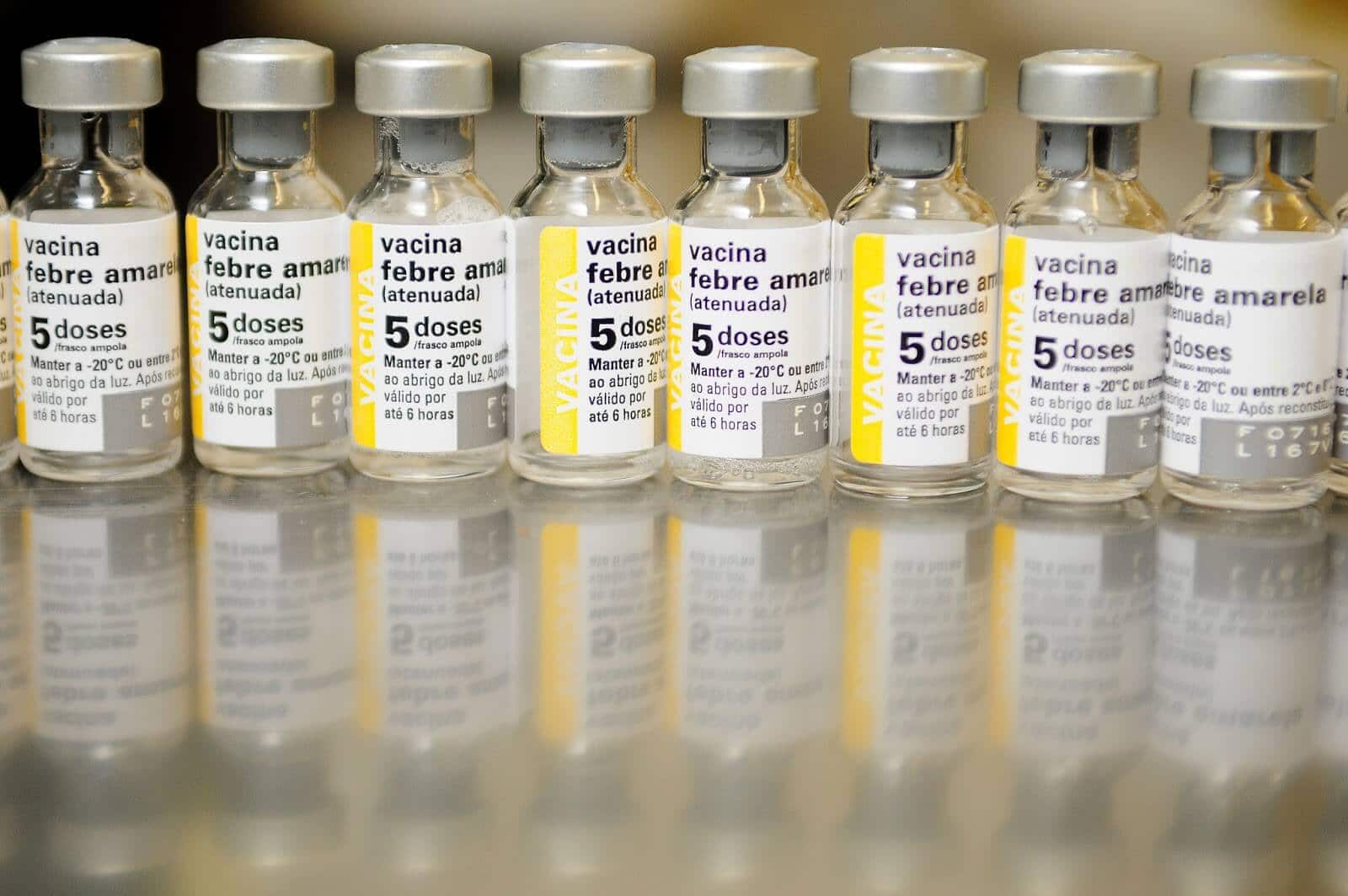 Vacinas para a febre amarela