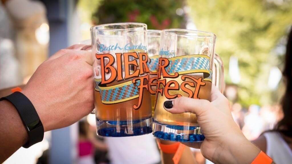Brinde com cerveja no Bier Fest no Busch Gardens Tampa