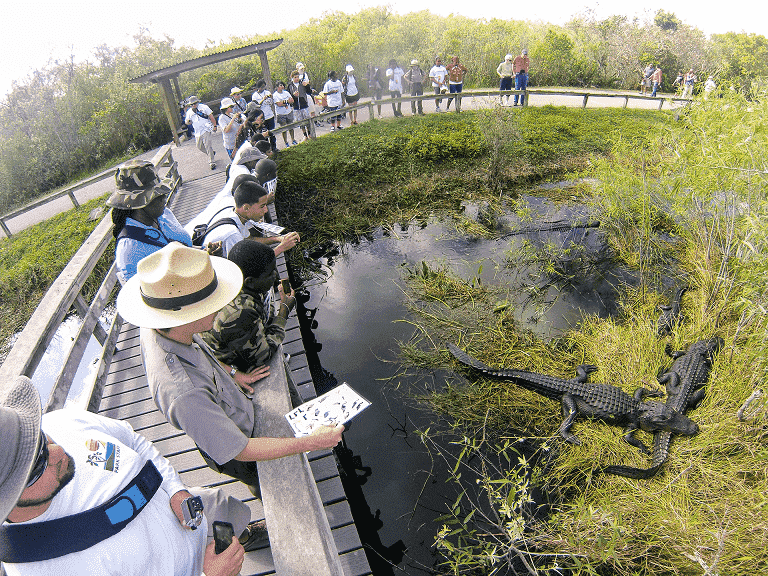 Visitantes no Everglades Park em Miami