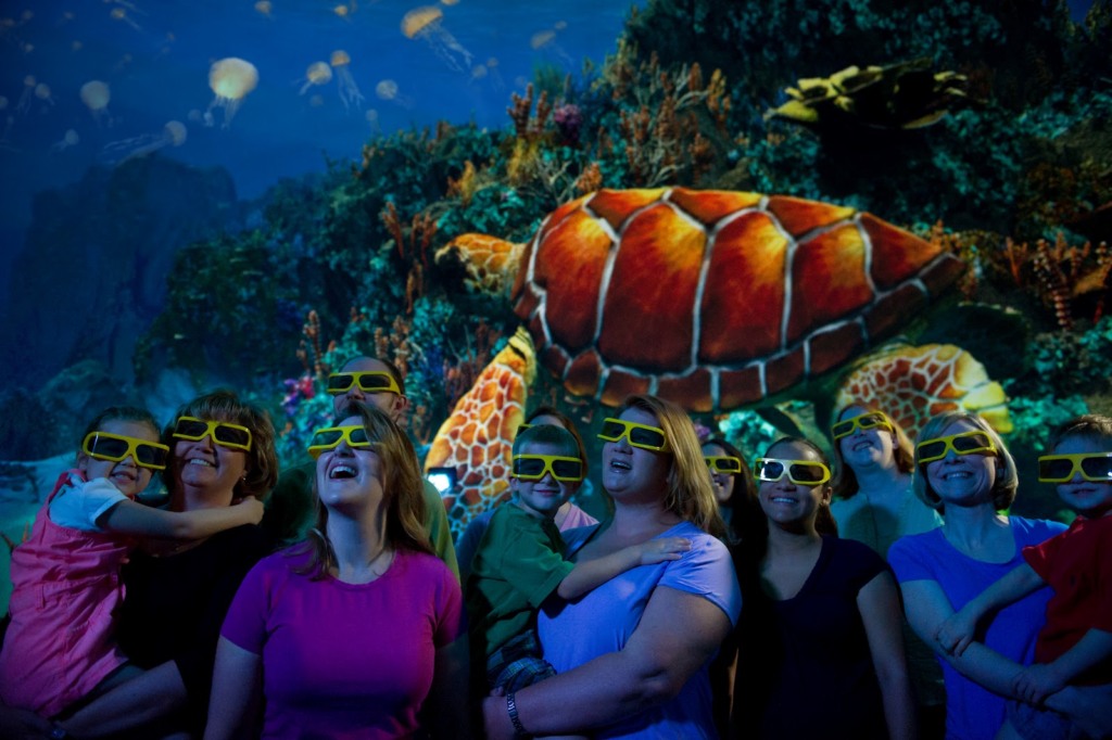 Atração Turtle Trek no SeaWorld