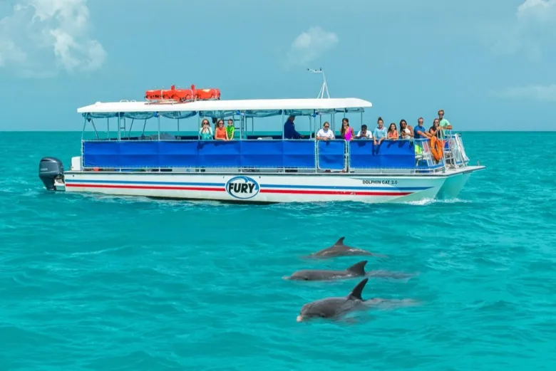 Como ver golfinhos em Key West na Flórida