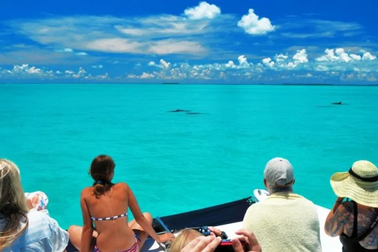 Passeio de barco para ver golfinhos em Key West na Flórida