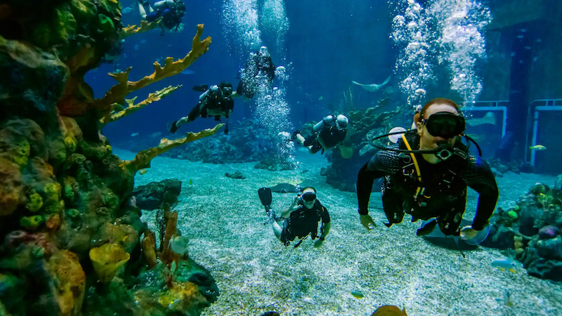 EPCOT Seas Adventures – DiveQuest na Disney Orlando