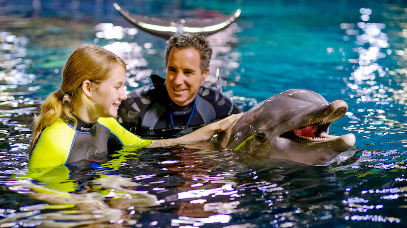 EPCOT Seas Adventures – Dolphins in Depth na Disney Orlando