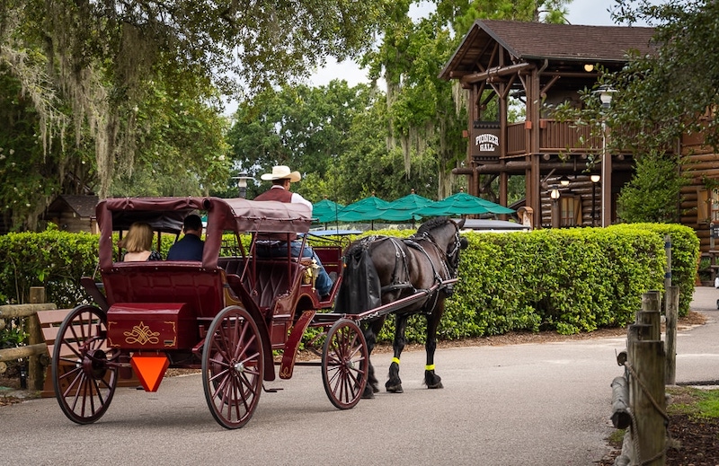 Passeio de carruagem no Disney's Fort Wilderness Resort